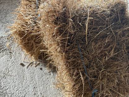 Bild 2:Kleine Heu/Strohballen