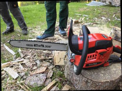 Bild 6:Bluebird Motorsäge CSP 500