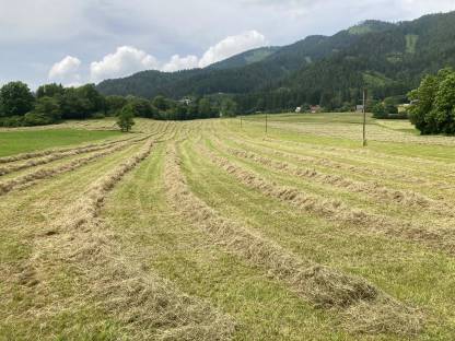 Heuballen und Grummetballen