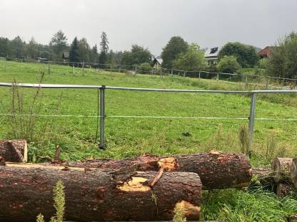 Bild 2:Reitplatzumrandung aus verzinktem Eisen