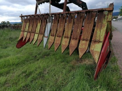 Bild 2:Sonnenblumen Vorbau