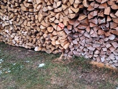 Bild 2:Brennholz