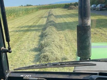 Bild 4:Heu