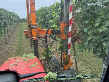 Bild 6:Laubschneider, Laubsauger Binger