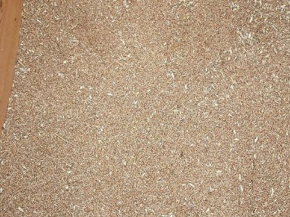Sommertriticale Mammut