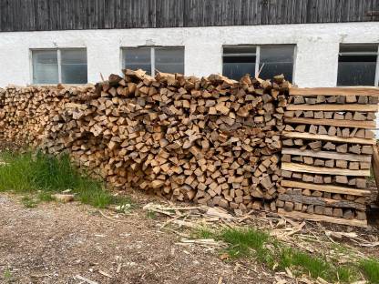 Brennholz, Hartholz