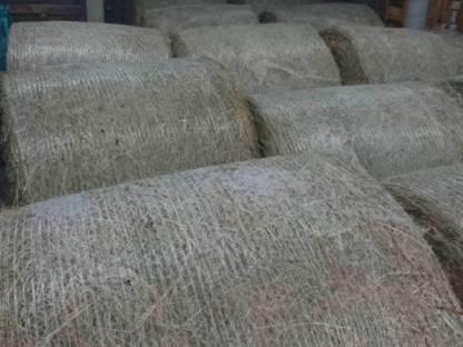 Bild 2:Heu Rundballen, Pferdeheu