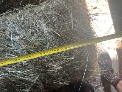 Bild 3:Heuballen klein