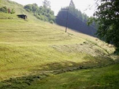 Wiese zum Mähen (Weide)
