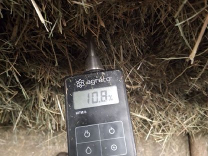 Bild 2:Heu 1. Schnitt 2025