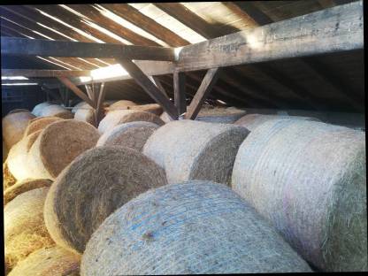 Bild 3:Heuballen