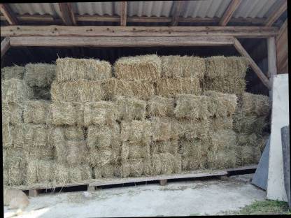 Bild 2:Heu