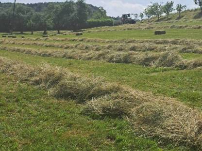 Bild 4:Heu Kleinballen