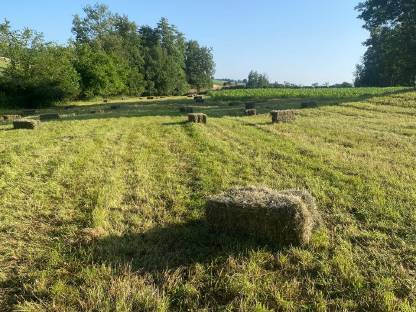 Bild 3:Heuballen