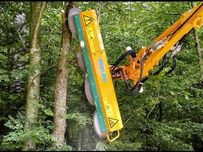 Bild 2:Suche Astschere Astsäge