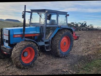 Bild 4:Eicher gesucht