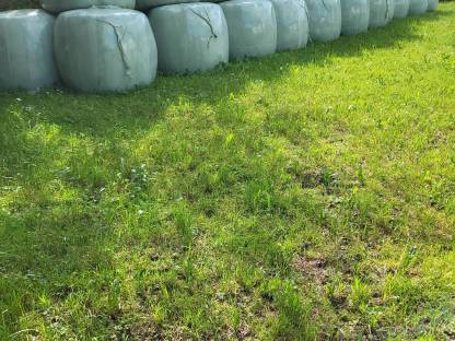 Silageballen