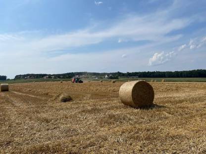 Bild 2:Stroh-Rundballen Ernte 2025