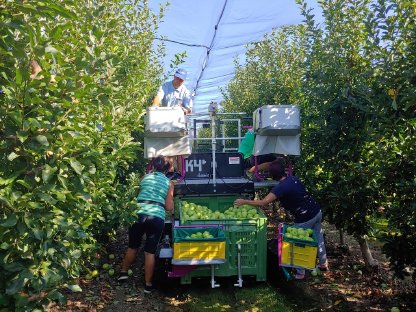 Bild 2:Erntebühne Windegger K4 Classic