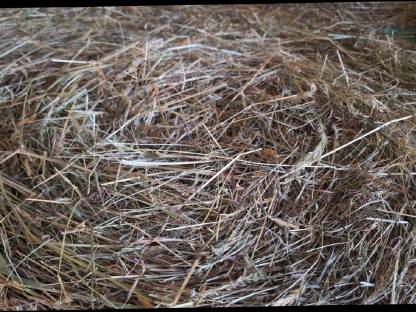 Bild 2:Verkaufe Bio-Heuballen Ernte 2025