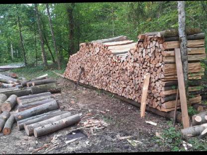 Bild 2:Brennholz, Hartholz