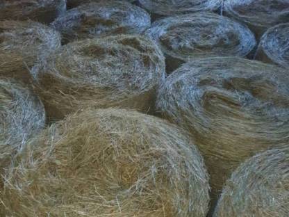 Bild 2:Heu Rundballen