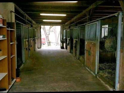 Bild 3:Pferdeeinstellplatz