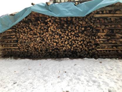 Brennholz Fichte und Buche