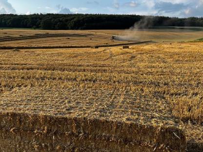 Stroh ERNTE 2025 (WG/WW)