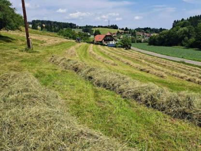 Bild 5:Heu Kleinballen