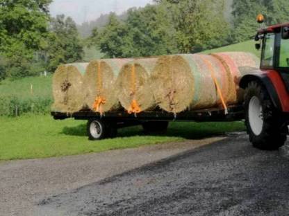 Bild 4:Plattformanhänger