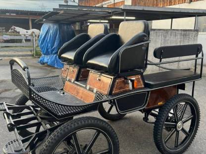 Bild 3:Kutsche