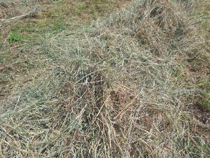 Bild 3:Heu Kleinballen