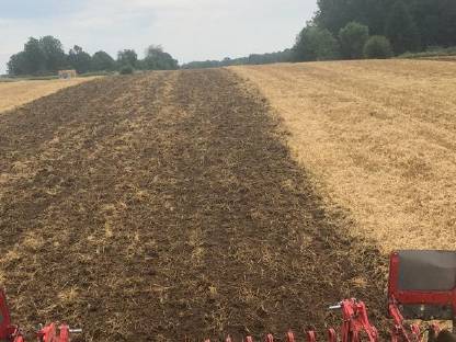 Bild 5:Vogel Noot Scheibenegge 3 m