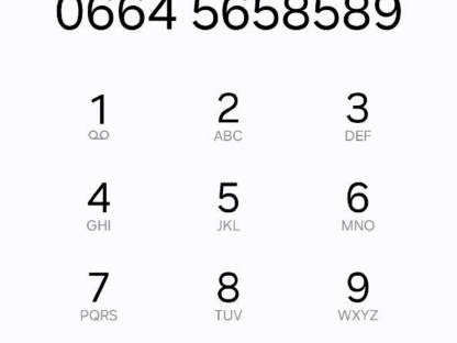 Bild 5:Rauch Komet ZS 600 N