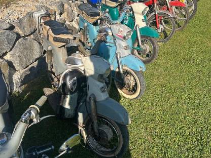 Bild 4:Puch Sammlung