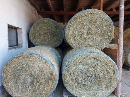 Bild 3:Wiesenheu in Rundballen