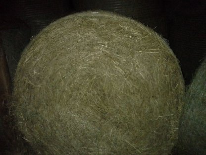 Gmunden Grummetballen