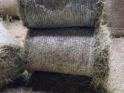 Bild 2:Kleine Heuballen