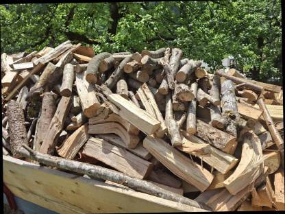 Bild 2:Brennholz
