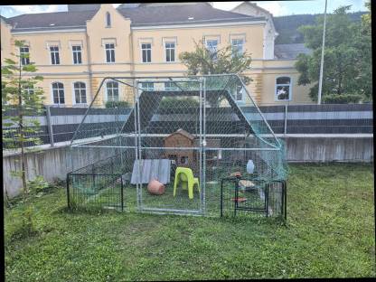 Hasengehege und Zubehör sowie Hasen
