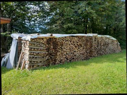 Brennholz/Hartholz trocken