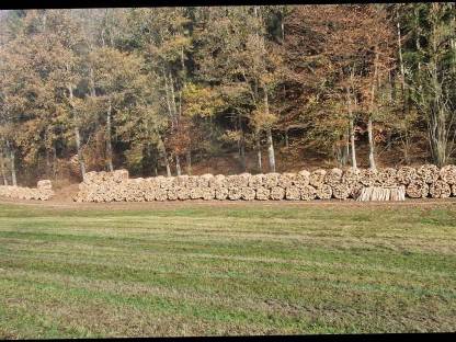 Bild 2:Brennholz Buche Bündel