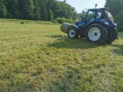Bild 4:Wiesenheu unkrautfrei u. ungedüngt