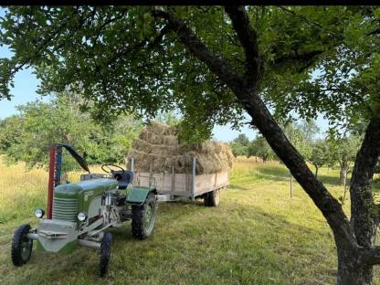 Bild 2:Heu 1. Schnitt 2025