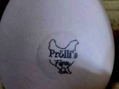 Bild 3:Bruteier oder Küken