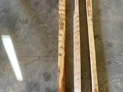 Bild 3:Lärchenstipfel