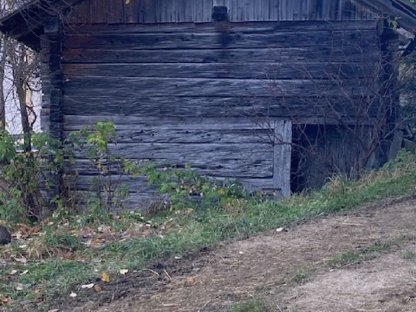 Altholz, Wassermühle