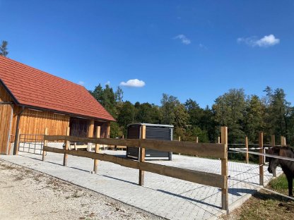 Einstellplatz für Isländerstute frei - Mariatrost