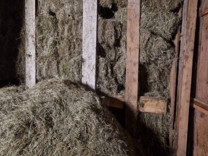 Bild 3:Bio Heuballen klein